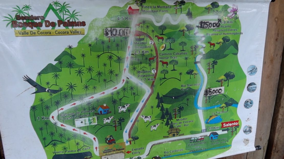 Cocora Valley Everything You Need To Know Casacol