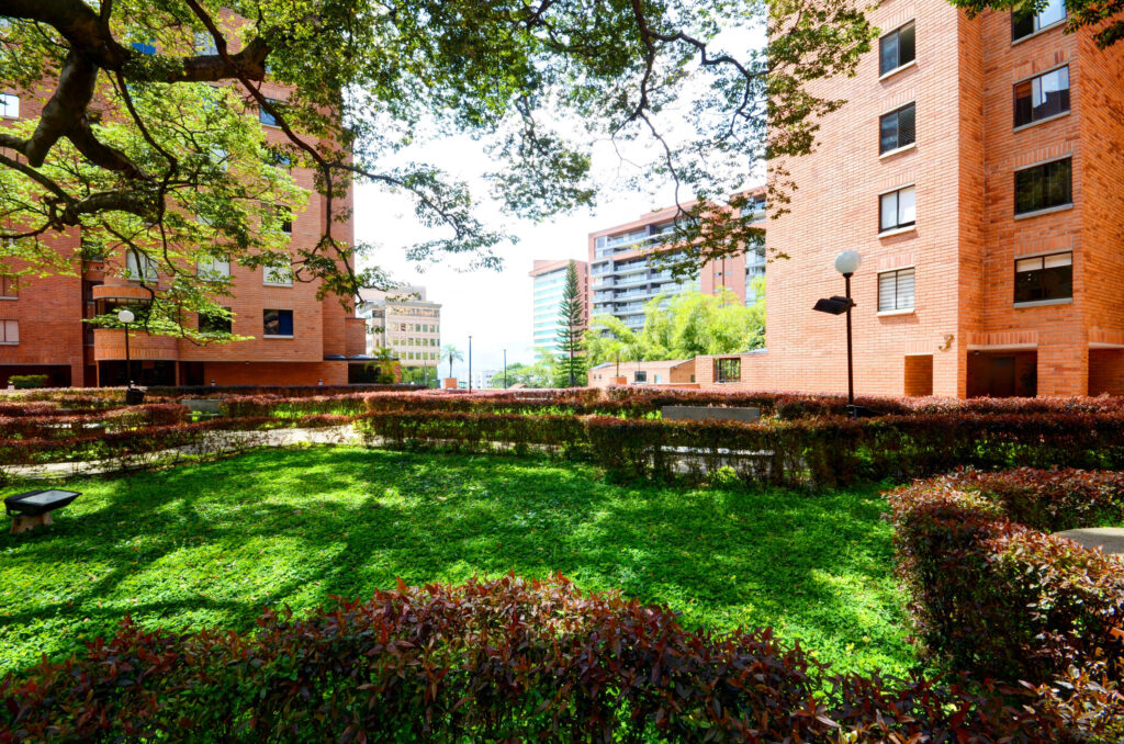 Plaza Alejandría 218 (4)