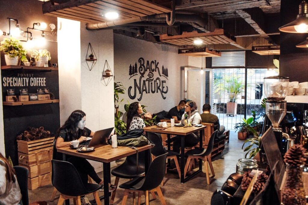 Best Cafes in Laureles Forest Coffee Shop