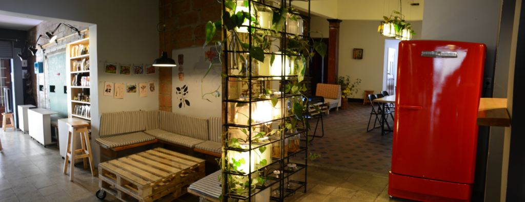 Best Cafes in Laureles Naturalia Café