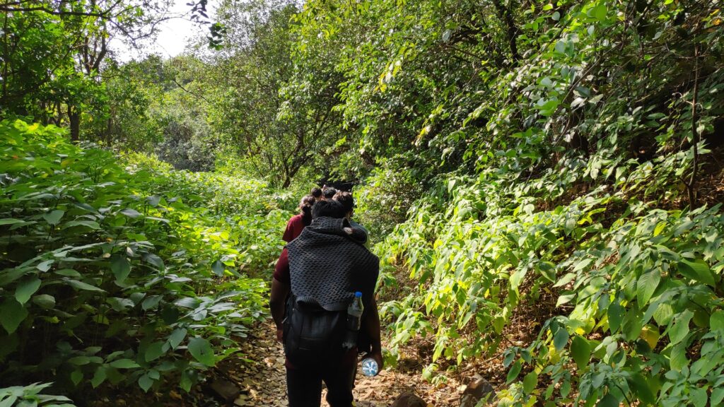 Hiking