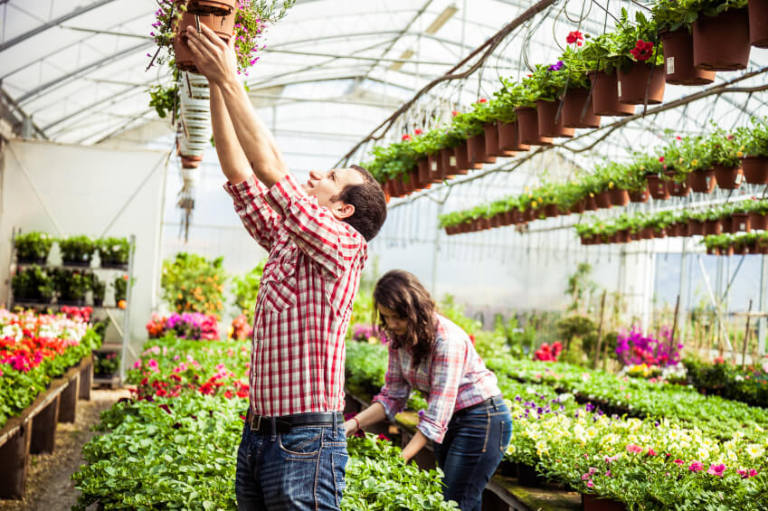 The 7 Best Garden Shops