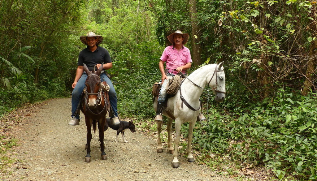 Horseback Riding and Waterfalls