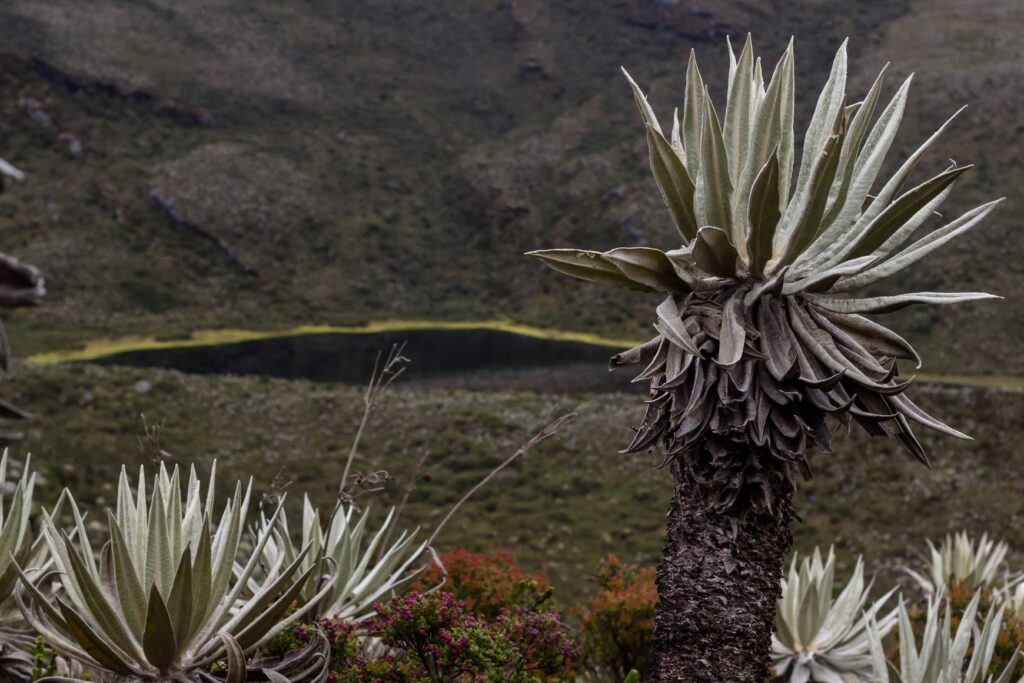 The Best Hikes in Sonson, Antioquia
