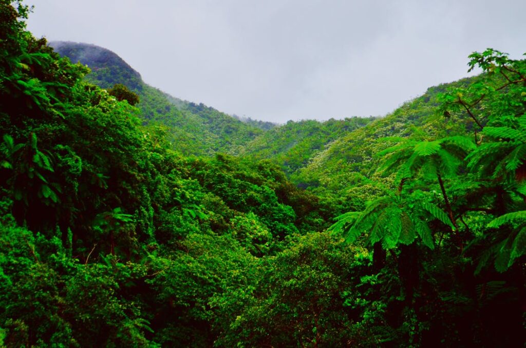 Visiting the Parque Nacional Natural Paramillo in Antioquia