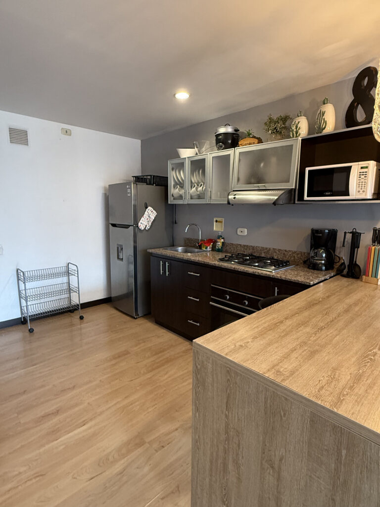 Kitchen 1