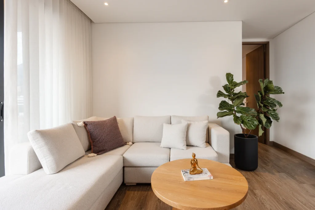 008-living-room-sofa