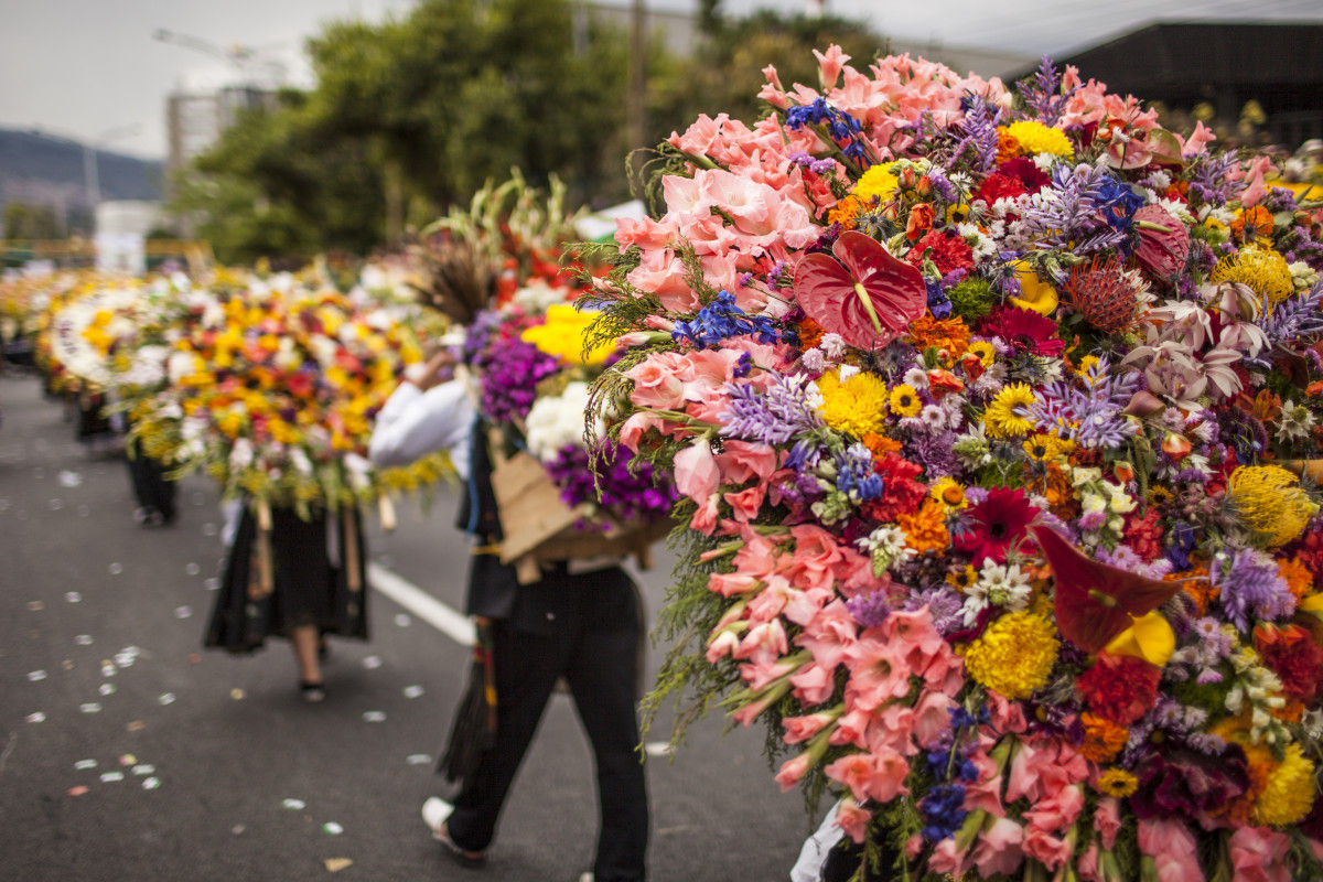 The Lowdown to Medellin's Flower Festival - Casacol