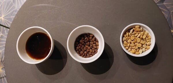Coffee Tasting Experience A Quick Intro to Coffee
