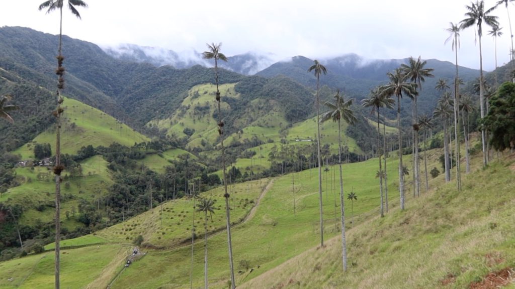 What is the Weather Like in Cocora Valley?
