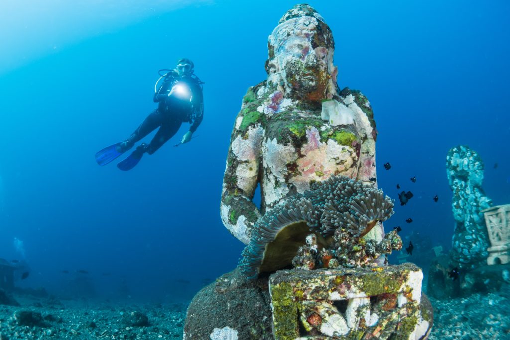 The Best Dive Trips from Medellin