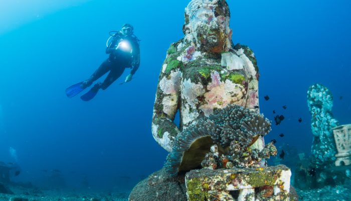 The Best Dive Trips from Medellin