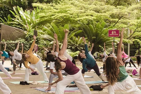 Taking a Yoga Class at the Botanical Garden